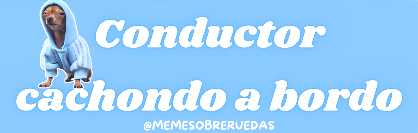 Conductor cachondo😉🩵
