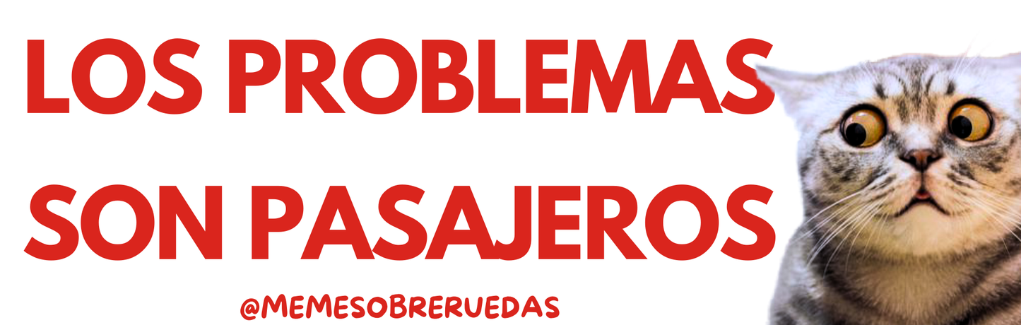 Son PASAJEROS👀