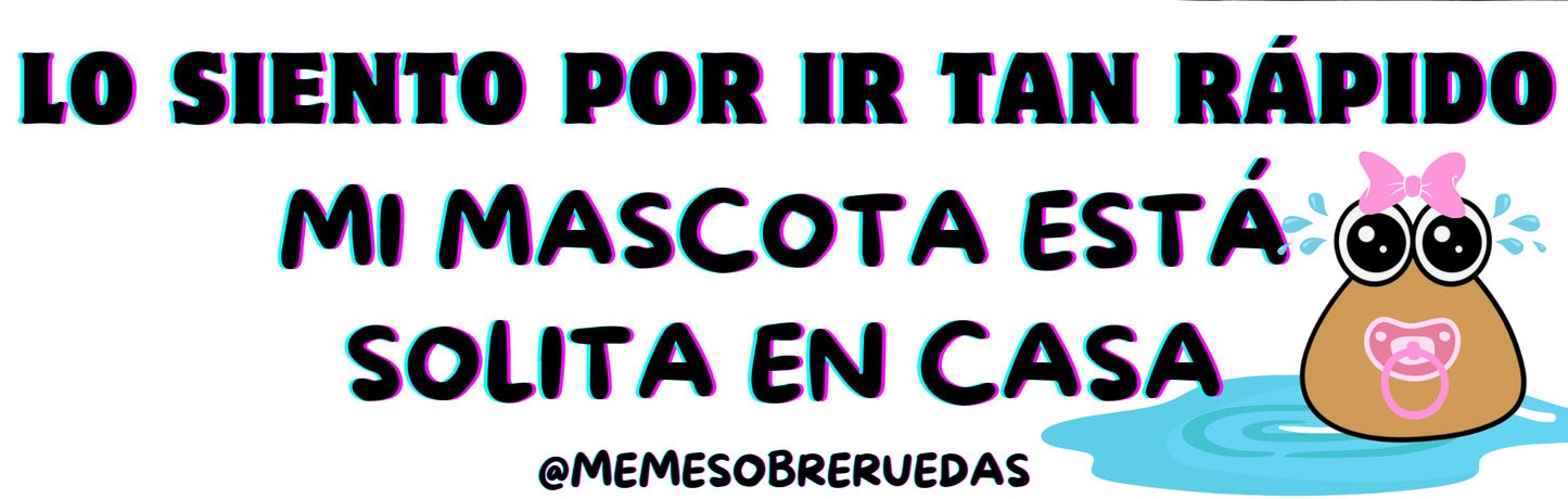 Mi mascota está solita🥺💦