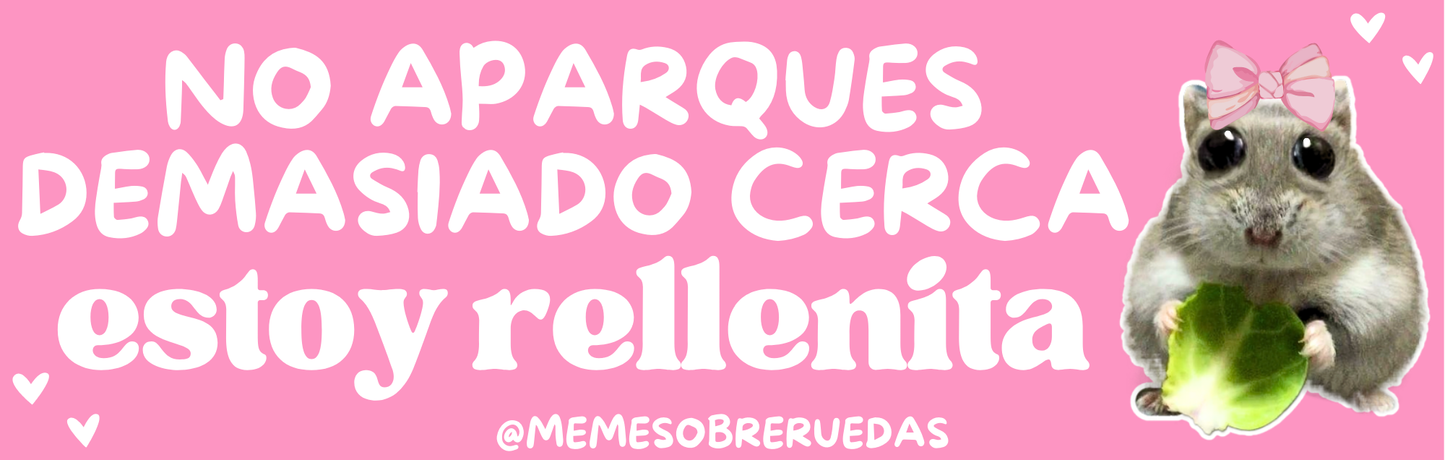 Estoy rellenita😊💞