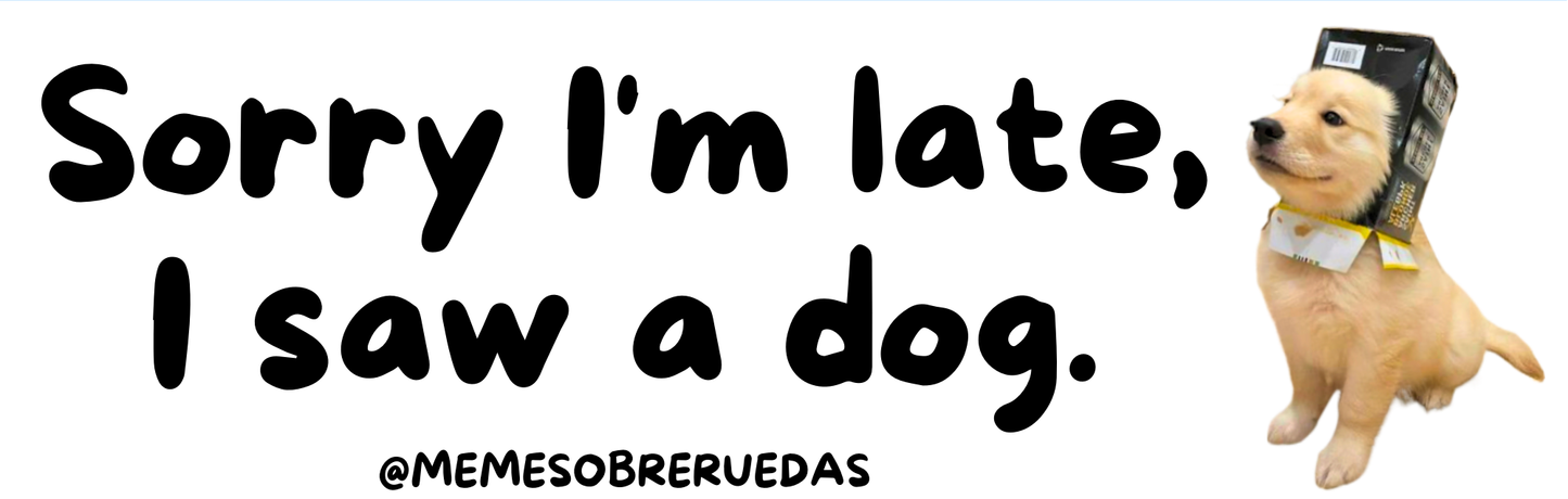Sorry...🐶❤️