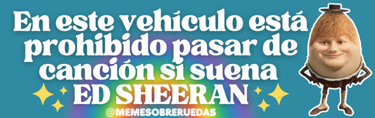 Ed Sheeran 🧑🏻‍🦰